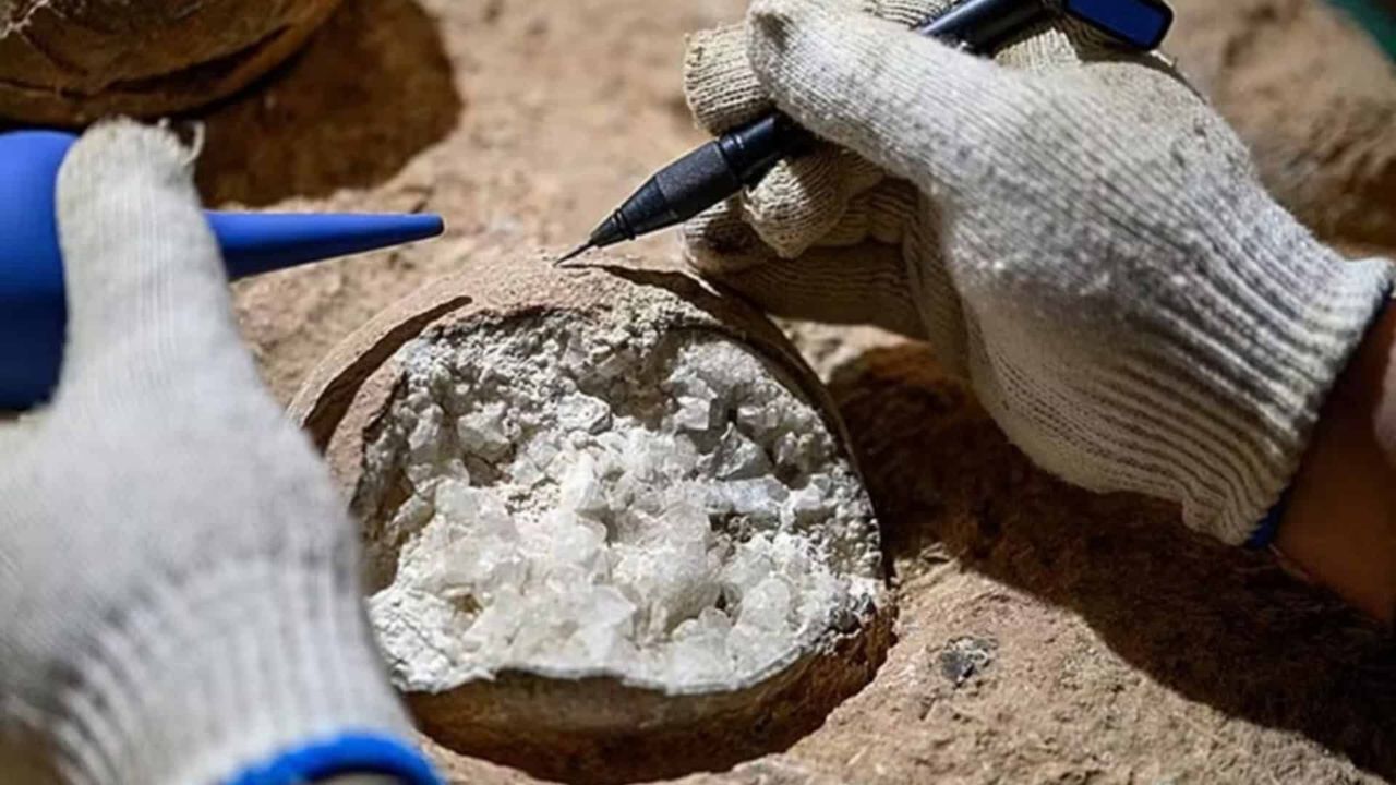 Científicos encontraron cristales dentro de huevos de dinosaurios con alrededor de 85 millones de años, datados por el método U-Pb. El descubrimiento en el sitio Qinglongshan, China, ayuda a comprender el clima del Cretácico.