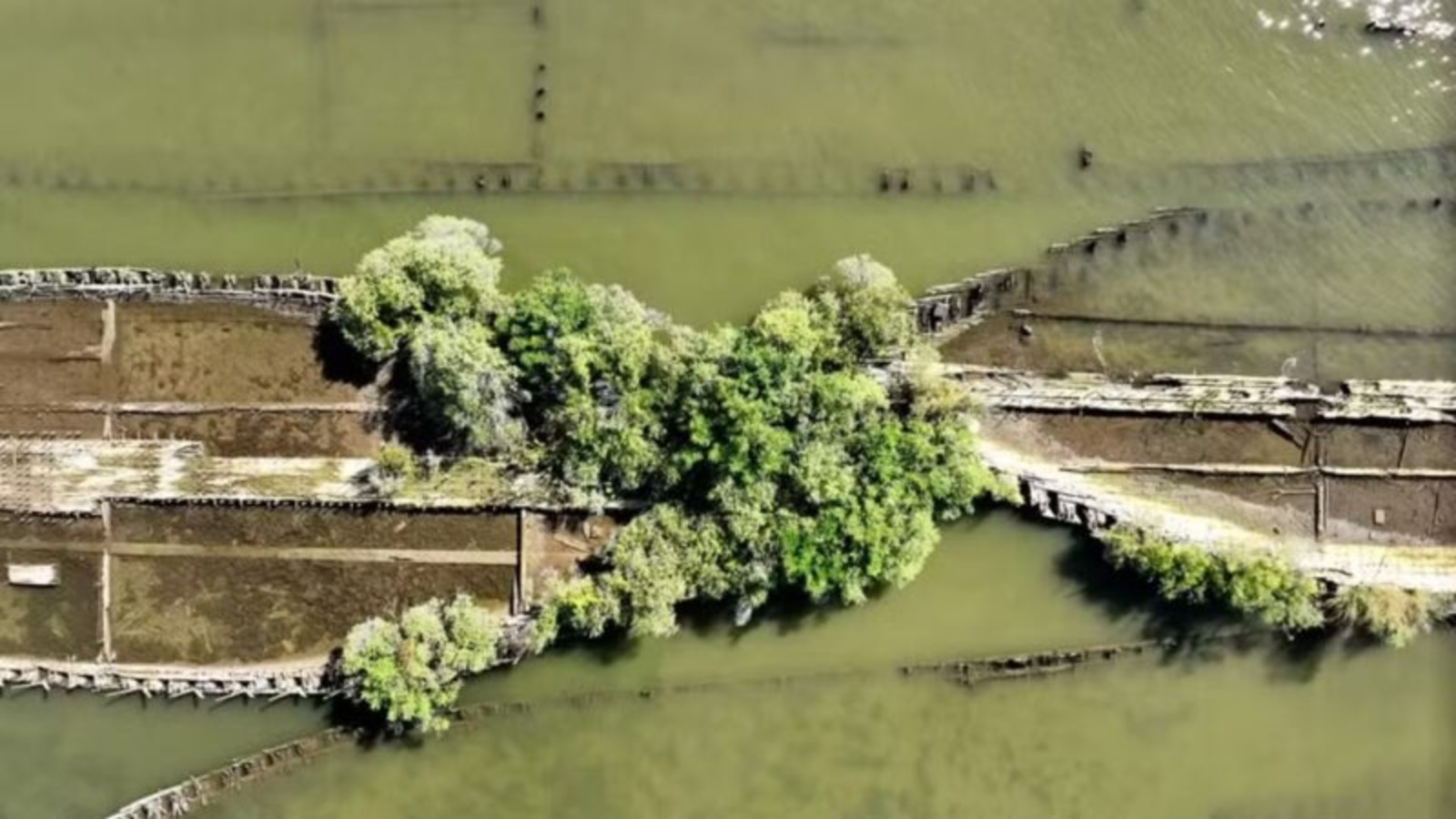 Cemitério, santuário ecológico, navios