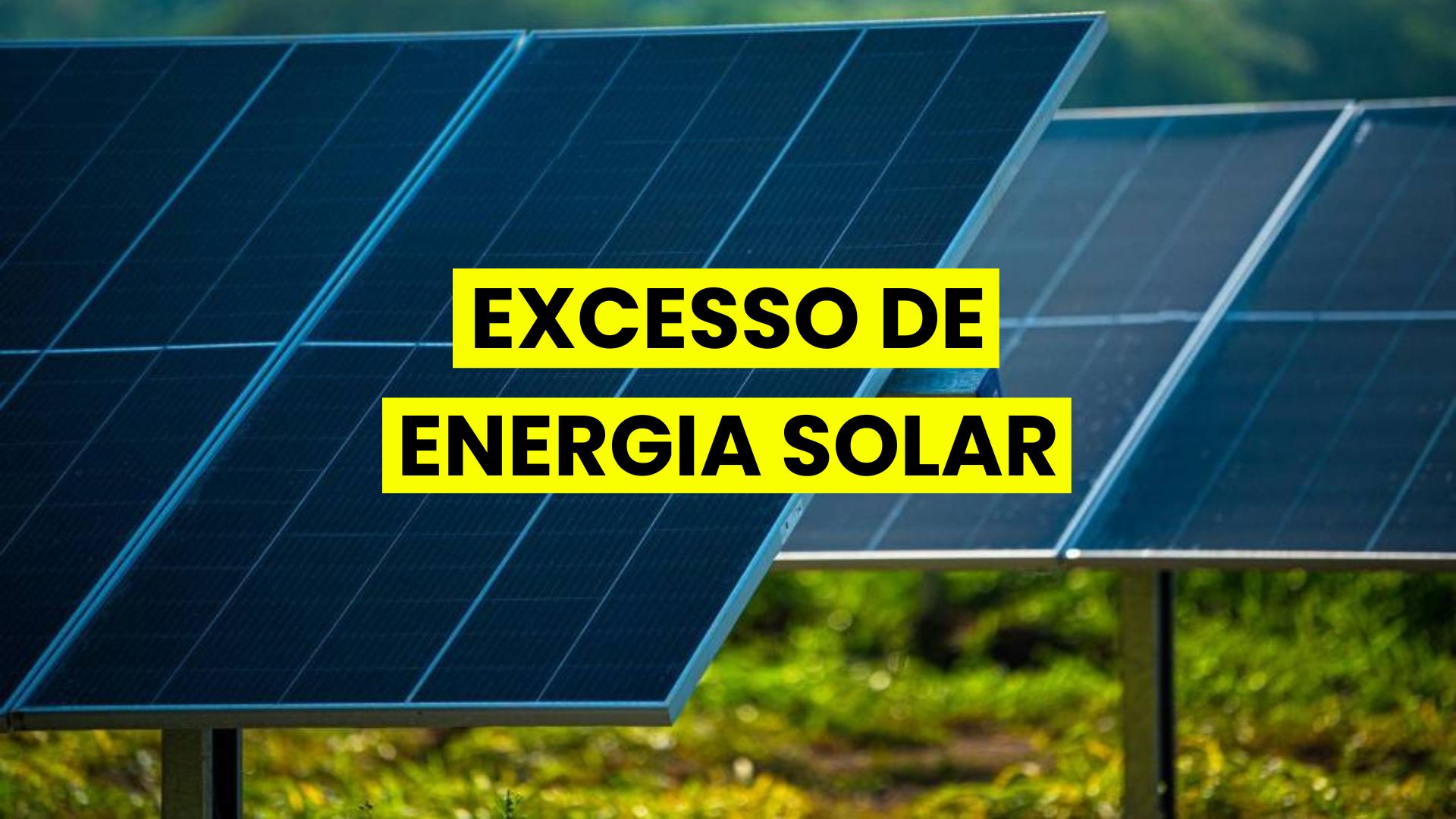 Painel solar em meio a um campo verdejante.