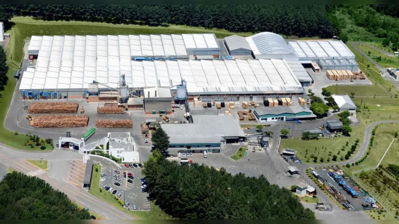 BrasPine despide 400 trabajadores en Paraná tras tarifas de EE. UU. La crisis afecta al sector maderero y expone la dependencia de las exportaciones.
