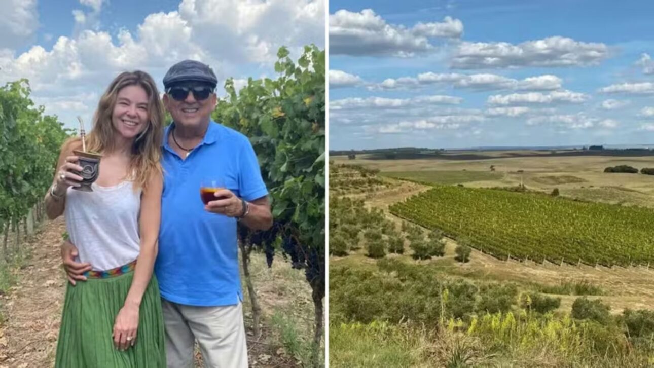 A los 75 años, Galvão Bueno se destaca en el agronegocio con Bellavista Estate, unindo vinos premiados y tradição en el esporte.