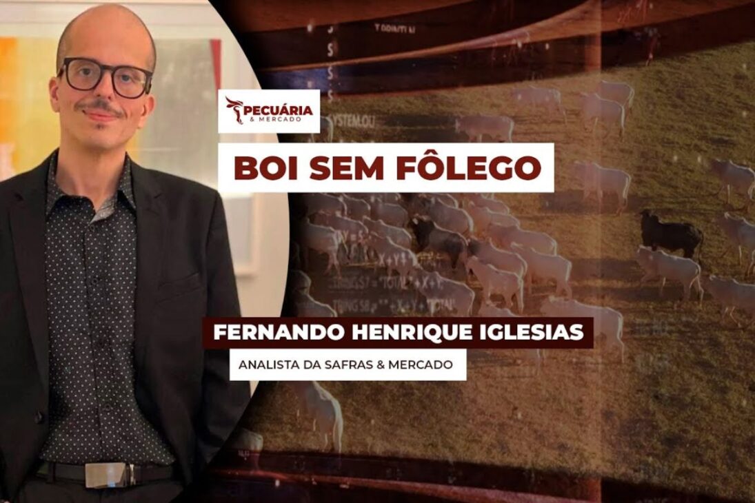 El analista Fernando Henrique Iglesias, de Safras & Mercados, refuerza que la carne bovina tiende a ser cada vez más restringida a consumidores de mayor poder adquisitivo.