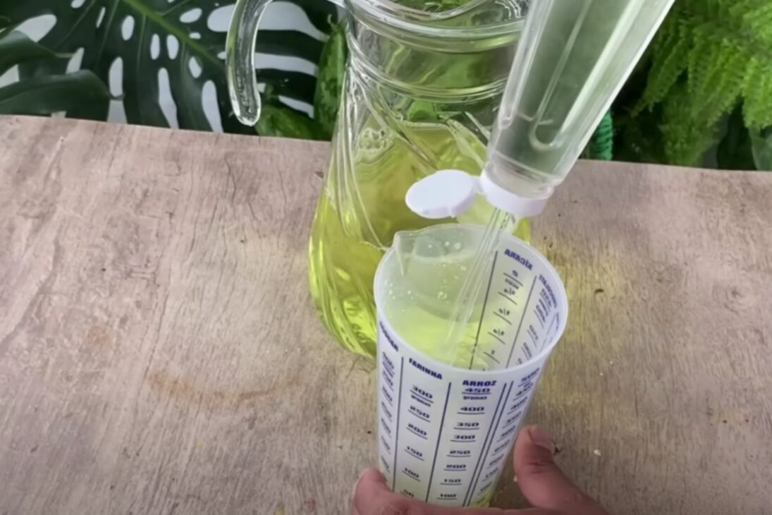 Mezcla simple de vinagre, detergente y agua mata termitas en hasta 10 segundos y evita daños en casa o jardín