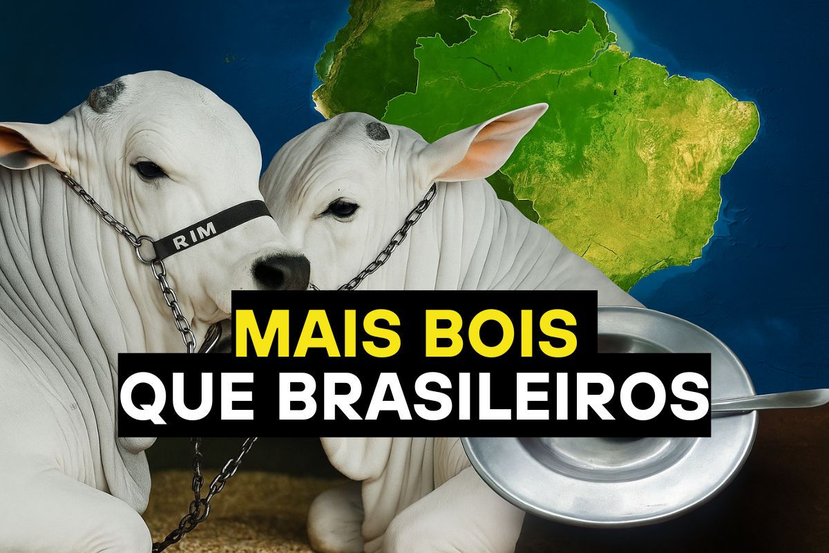 Mesmo com mais bois do que gente, Brasil enfrenta carne cara e fome crescente