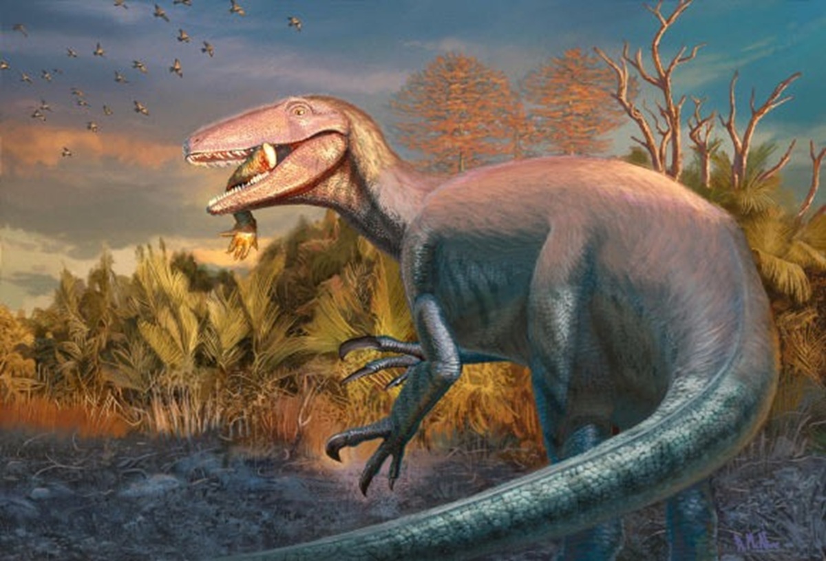 Joaquinraptor casali . Crédito da imagem: Andrew McAfee, Museu Carnegie de História Natural.