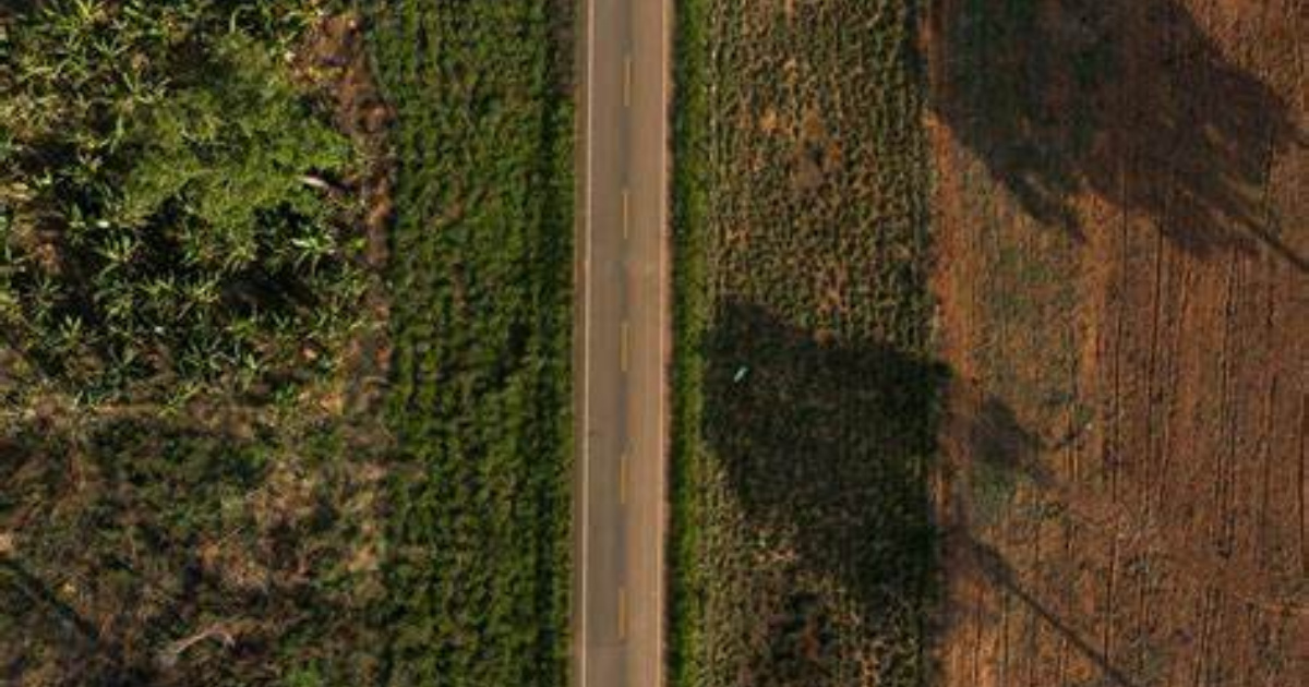 Tramo amazónico de la Interoceánica cerca de Iñapari muestra contraste entre selva y pista de la línea Río a Lima de 6 200 km. (Imagen: WWF)