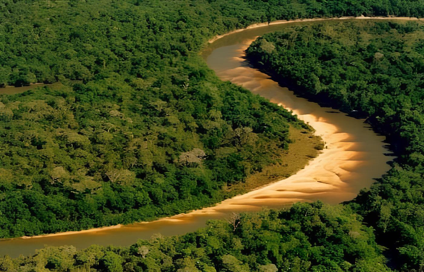 Ilha do Bananal: território quase do tamanho de Israel no coração do Brasil, com 20 mil km² de extensão e reconhecida como a maior ilha fluvial do planeta