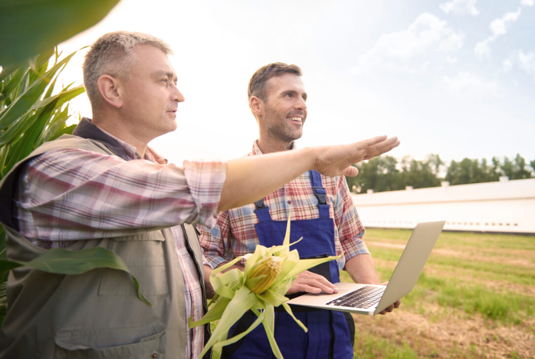 Las líneas Bioinsumos y Suelo Más apoyan la agricultura sostenible, riego, insumos regenerativos y cooperativas Sicoob, Sicredi y Cresol. Crédito flexible, apoyo técnico e incentivo a la sostenibilidad en el campo mineiro.
