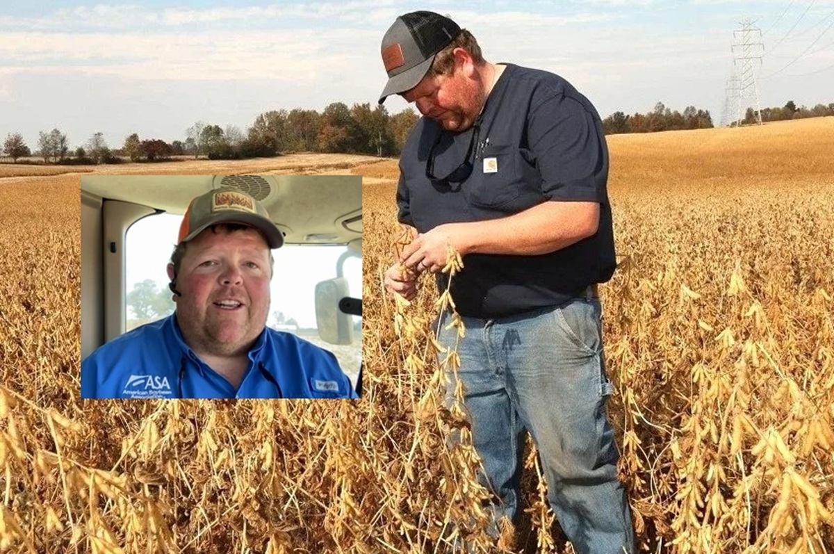 Produtor de soja dos EUA pressiona Trump: tarifas e perda de mercado chinês ampliam crise no campo e ameaçam sustento de milhares de famílias.