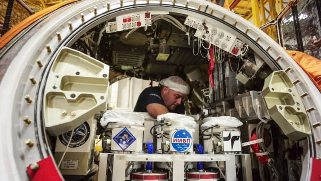 ‘Arca de Noé’ rusa aterriza con 75 ratones y 1,5 mil moscas