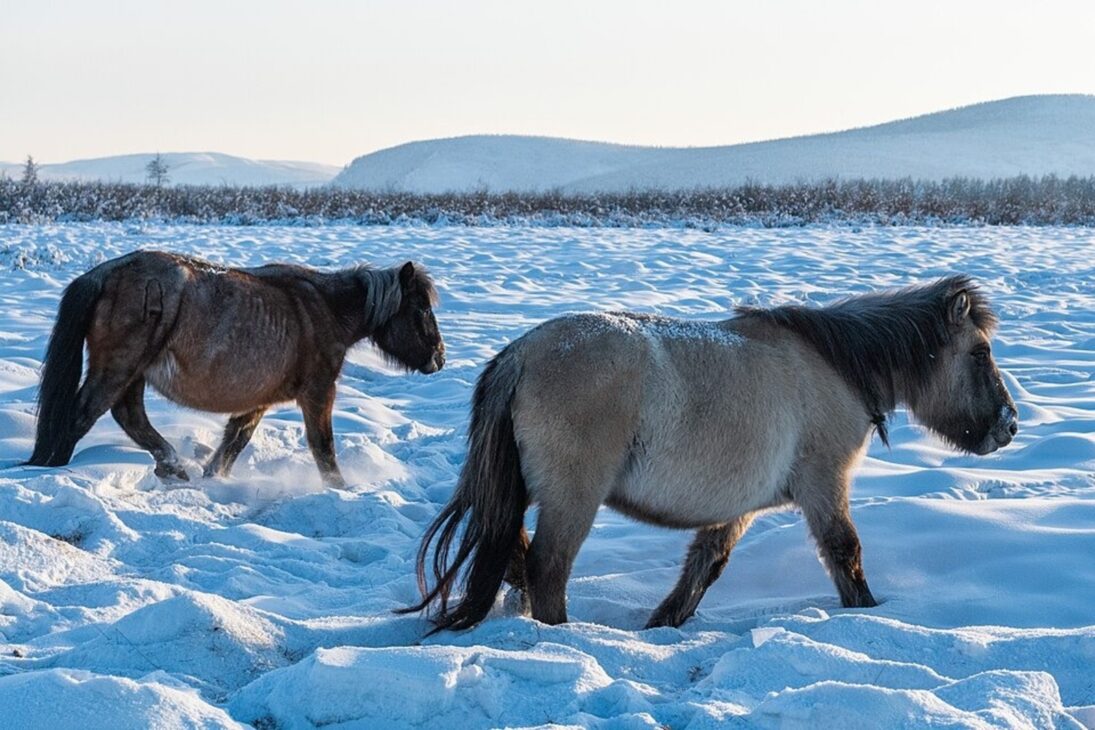 Oymyakon, Ciudad más fría del mundo