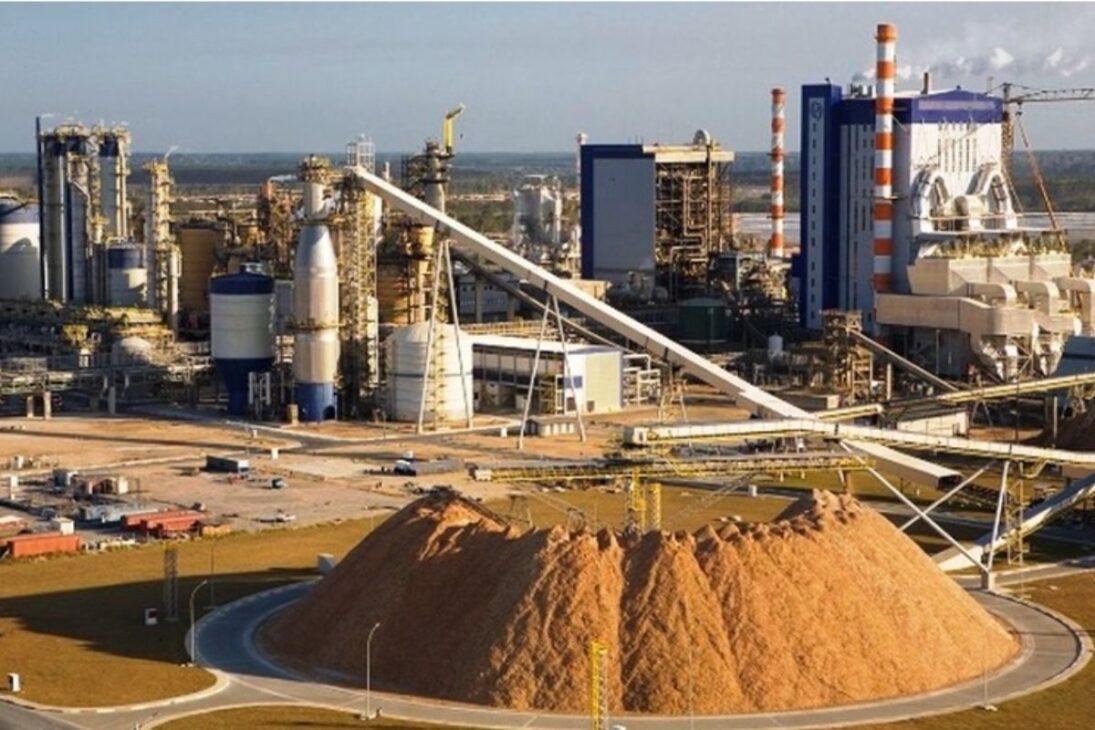 La Suzano opera en Maranhão la mayor fábrica de celulosa de eucalipto del mundo, con 1,5 millones de toneladas por año