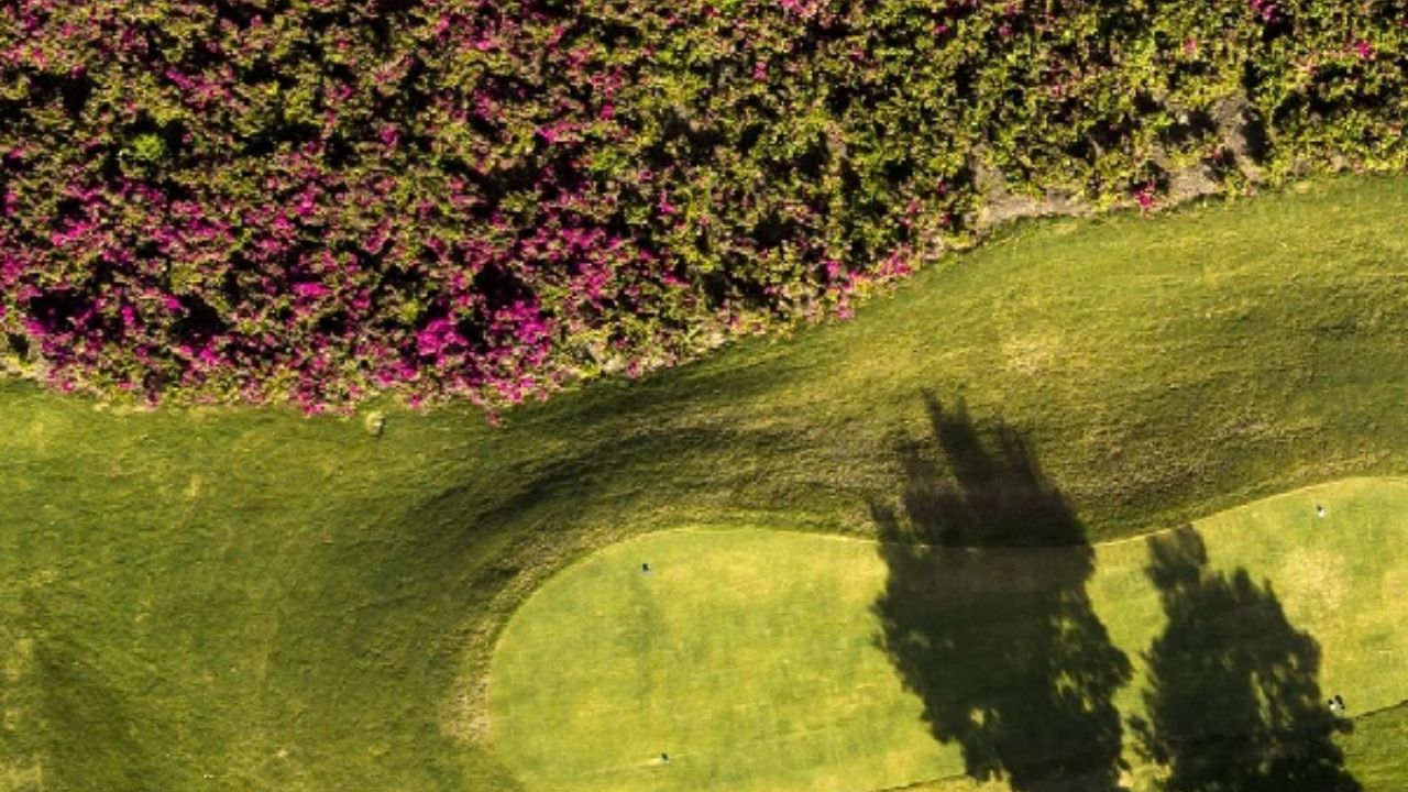 Por dentro de la Fazenda Boa Vista: el condominio fortaleza con 4 mil empleados y helipuerto VIP. Entienda por qué este refugio de lujo en SP atrae a la élite de Brasil.