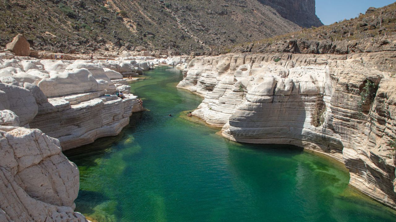 A ilha no Oceano Índico que vive isolada do mundo há milênios, com árvores e plantas que não existem em nenhum outro lugar do planeta
