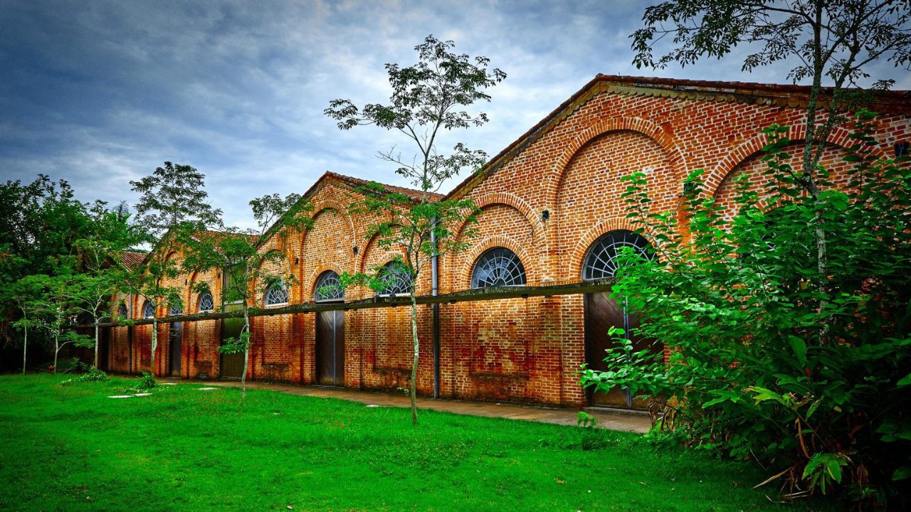 A maior colônia japonesa do Brasil tem um portal Torii na entrada, celebra festivais milenares e mantém o idioma dos avós vivo nas plantações de chá