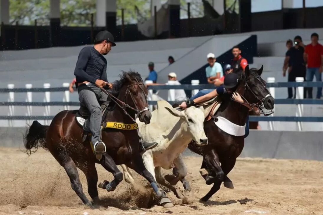 La vaquejada fue prohibida por el STF por crueldad animal, pero el Congreso reaccionó con una enmienda constitucional para legalizarla como cultura, en un enfrentamiento histórico