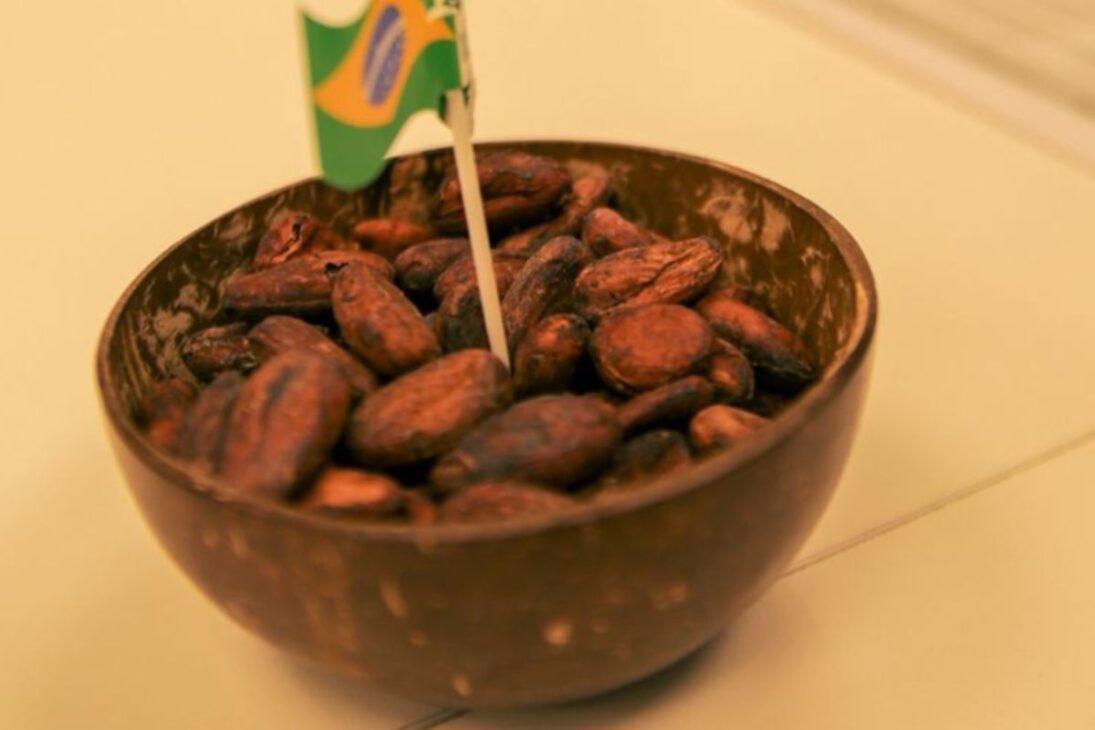 El evento nació del creciente interés del mercado argentino por el cacao producido en Brasil, especialmente por el modelo sostenible y por la calidad reconocida internacionalmente.