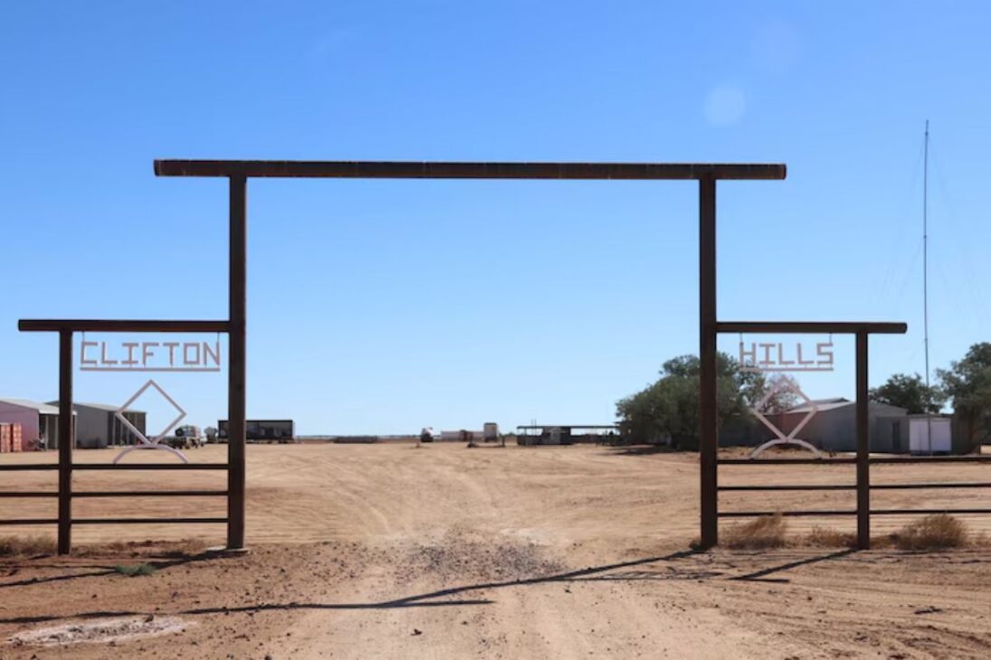 Con 1,65 millones de hectáreas, la segunda mayor estación de ganado del mundo depende de las crecidas estacionales del río Diamantina para transformar el desierto en pasto fértil