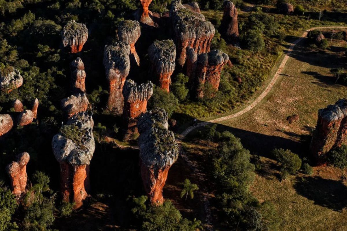 A Conferência Regional de Desenvolvimento Sustentável chegou pela primeira vez a Ponta Grossa (PR) e deve movimentar toda a região dos Campos Gerais