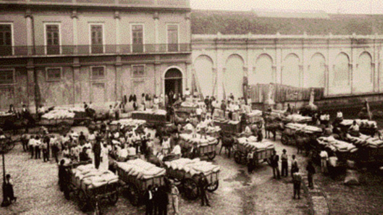 Llegada del café al puerto, Santos
(SP), c. 1890. Reproducción: Portal Iphan