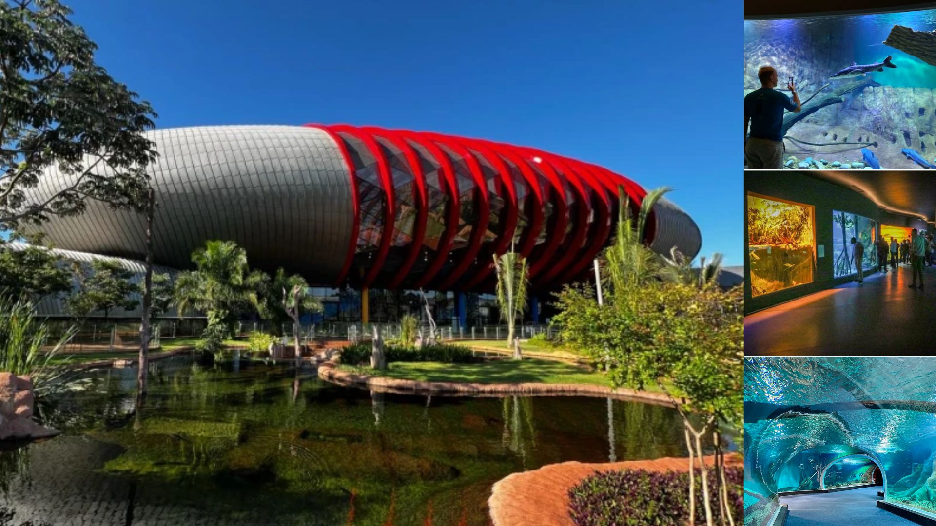 Bioparque Pantanal, em Campo Grande (MS), é o maior aquário de água doce do mundo e une ciência, turismo e sustentabilidade.