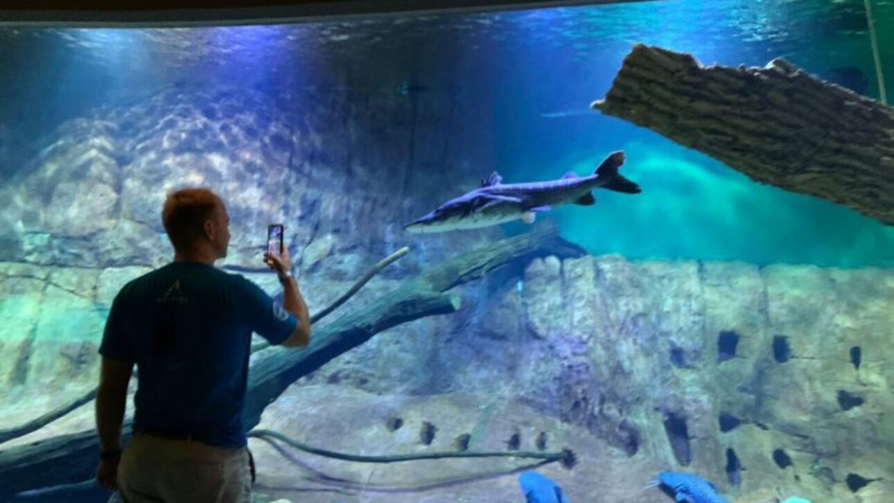 Bioparque Pantanal, en Campo Grande (MS), es el mayor acuario de agua dulce del mundo y une ciencia, turismo y sostenibilidad.