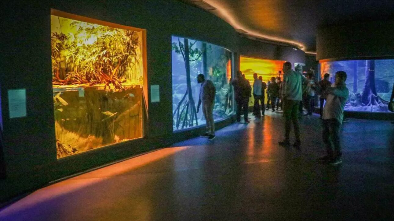 Bioparque Pantanal, en Campo Grande (MS), es el mayor acuario de agua dulce del mundo y une ciencia, turismo y sostenibilidad.