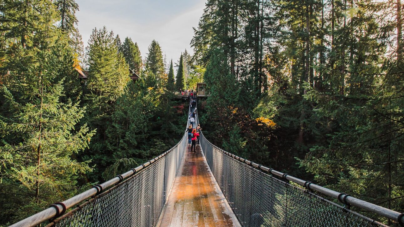 Caminho sobre a ponte com vegetação ao redor — “Passarela da ponte Capilano com cabos de aço e floresta temperada ao redor” (Imagem: Next Stop Adventure)