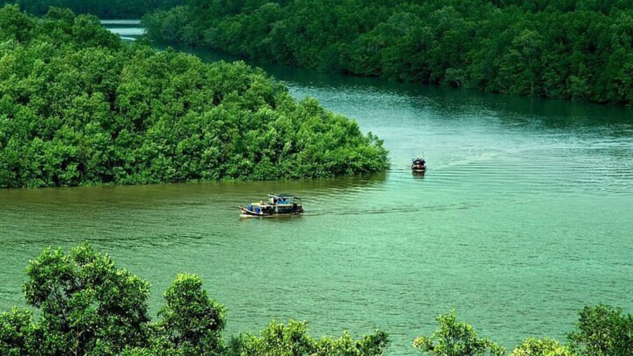 El manglar de Cần Giờ, en Ho Chi Minh, protege a millones de personas de tormentas y enfrenta presiones de megaproyectos urbanos.