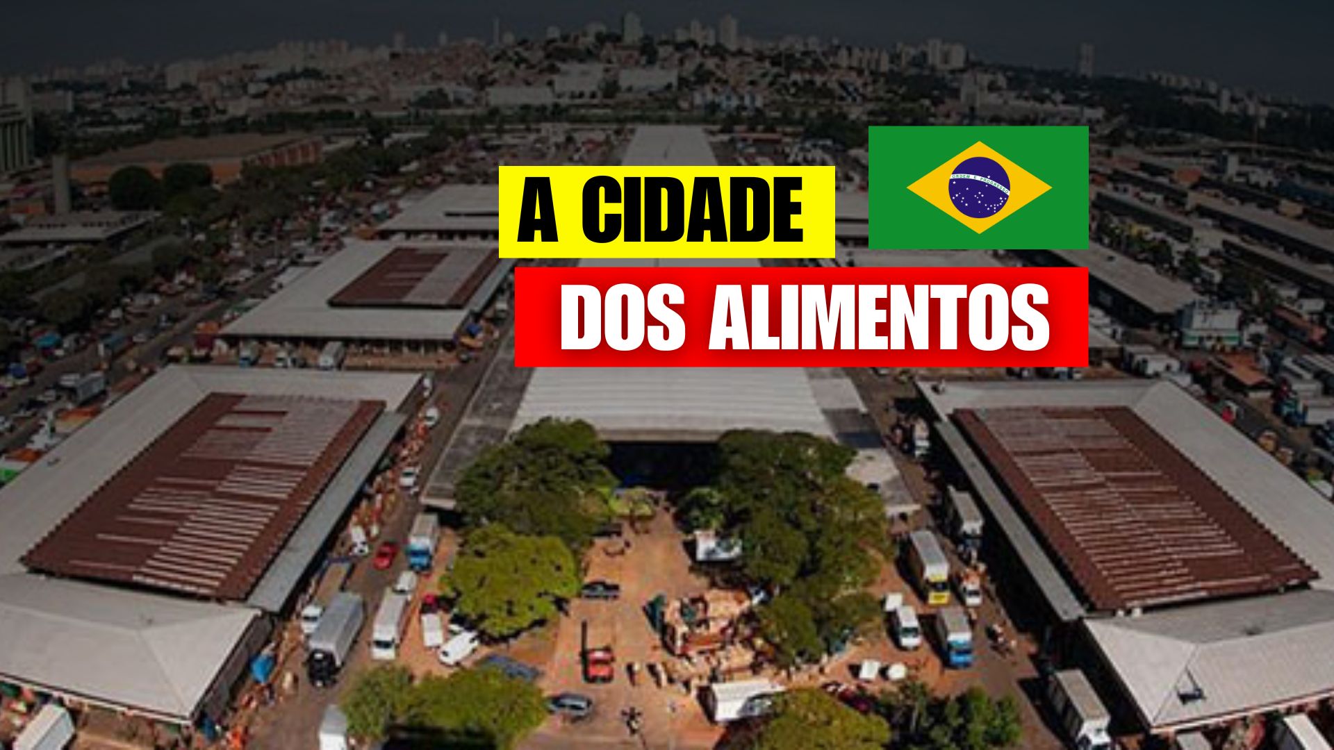 Conheça a CEAGESP, gigante do abastecimento em São Paulo que movimenta 3 milhões de toneladas de alimentos por ano e define o preço da comida.