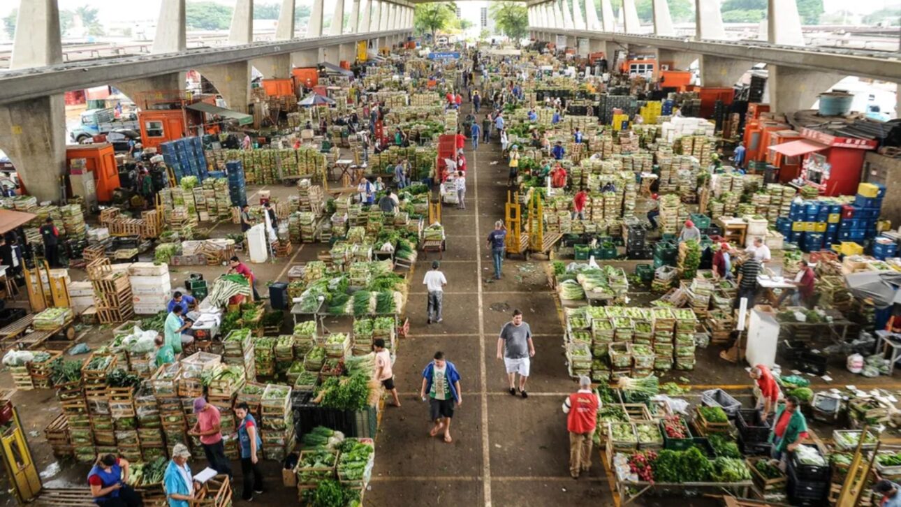 Conozca la CEAGESP, gigante del abastecimiento en São Paulo que mueve 3 millones de toneladas de alimentos por año y define el precio de la comida.