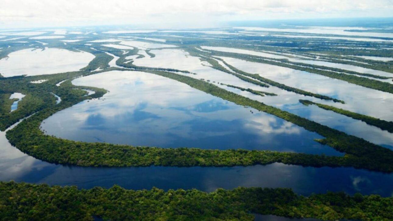 El Archipiélago de Mariuá, en el Río Negro, Amazonas, es el mayor archipiélago fluvial del mundo y alberga rica biodiversidad amazónica.
