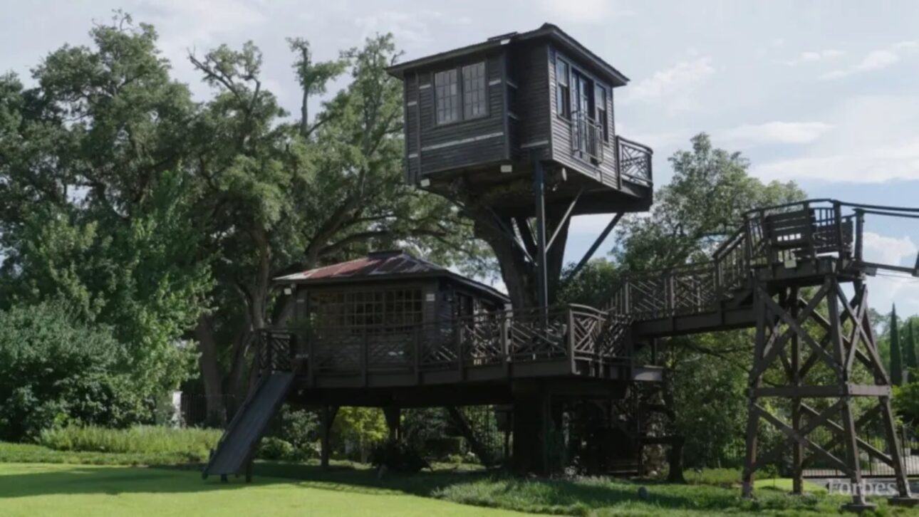 Casa en el árbol más lujosa del mundo tiene tres pisos, puente de 20 metros y fue construida sobre un roble de 30 metros.