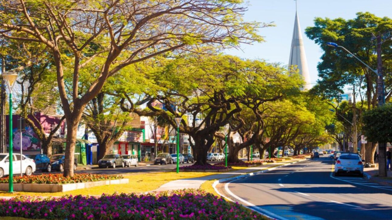 Ciudad de Maringá exhibe avenidas amplias y arboladas, reflejando urbanismo y limpieza urbana eficientes. (Imagen: Divulgación PMM)