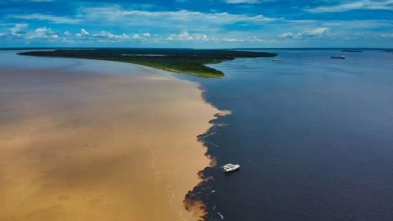 Imagen: Sou Amazônia