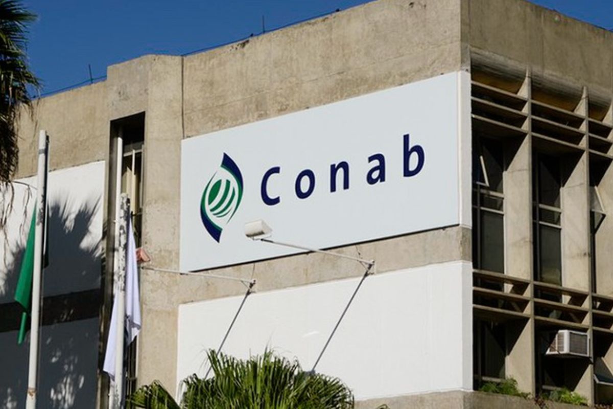 O Programa de Aquisição de Alimentos 2025 foi oficialmente lançado no último dia 21 de outubro pela Companhia Nacional de Abastecimento (Conab) no Sertão de Pernambuco, marcando o início de uma nova fase de incentivo à agricultura familiar e combate à insegurança alimentar neste estado brasileiro