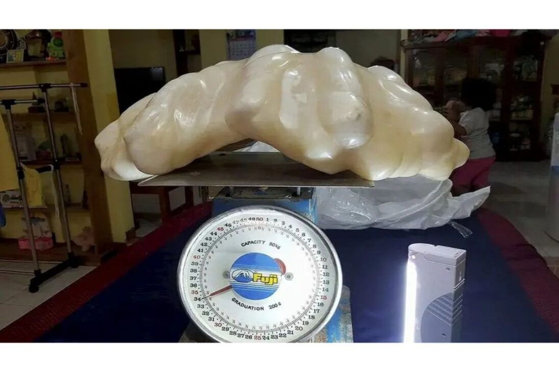 Pescador filipino guardó por 10 años debaixo da cama una pérola de 34 kg que vale mais de R$ 500 millones