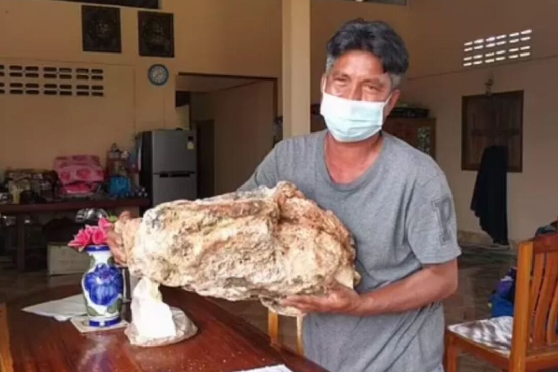 Pescador tailandés pobre encuentra 'vómito de ballena' de 30 kilos evaluado en más de US$ 1,25 millones y cambia completamente de vida en 2021