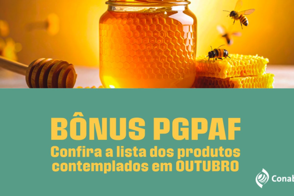 A nova lista de produtos com descontos no Pronaf entrou em vigor no dia 10 de outubro e segue válida até 9 de novembro, trazendo um importante reforço à renda de agricultores familiares em todo o país