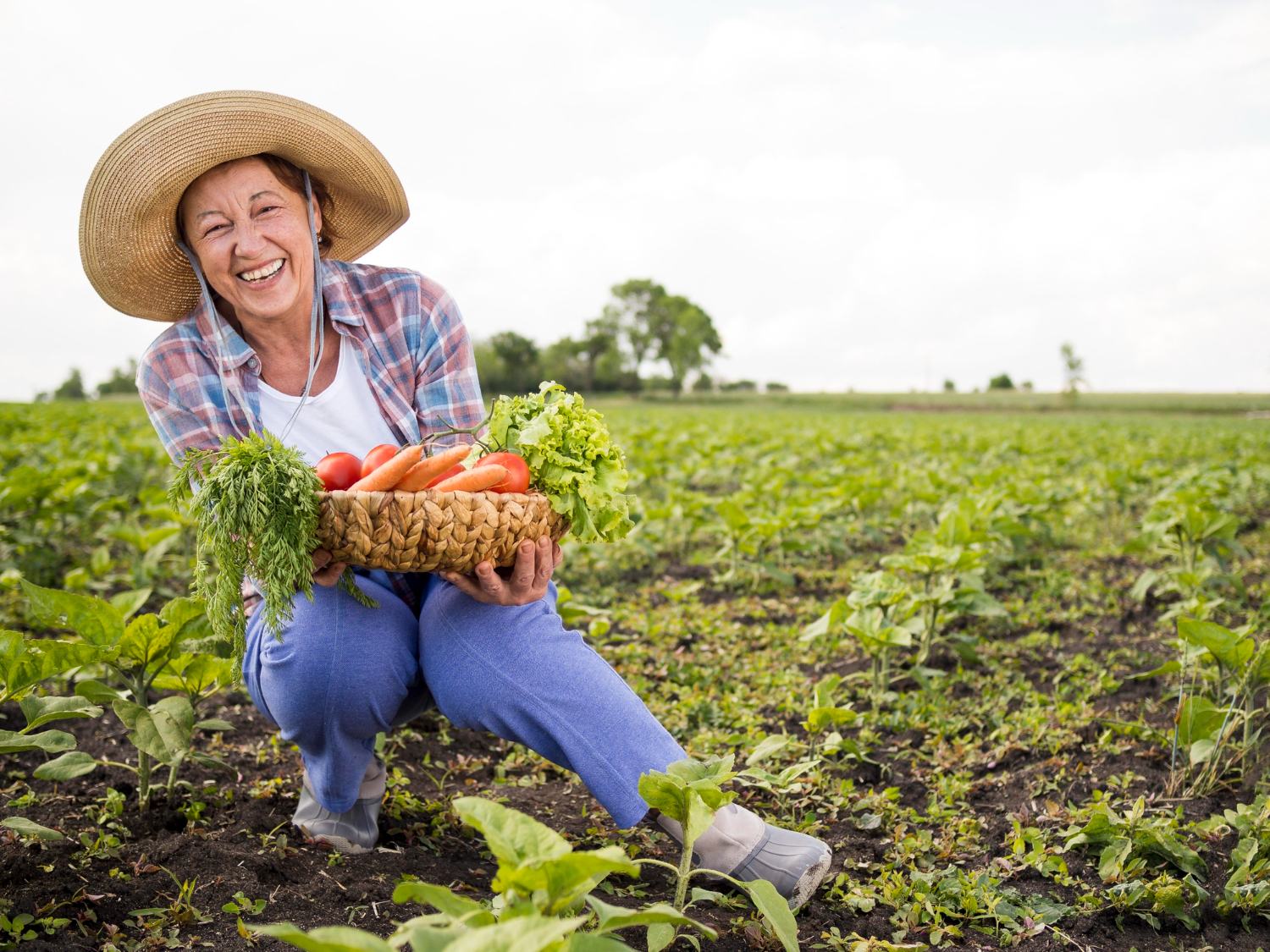 A agricultura familiar em Sergipe vem ganhando destaque por meio de políticas públicas voltadas à valorização do pequeno produtor e à promoção da segurança alimentar