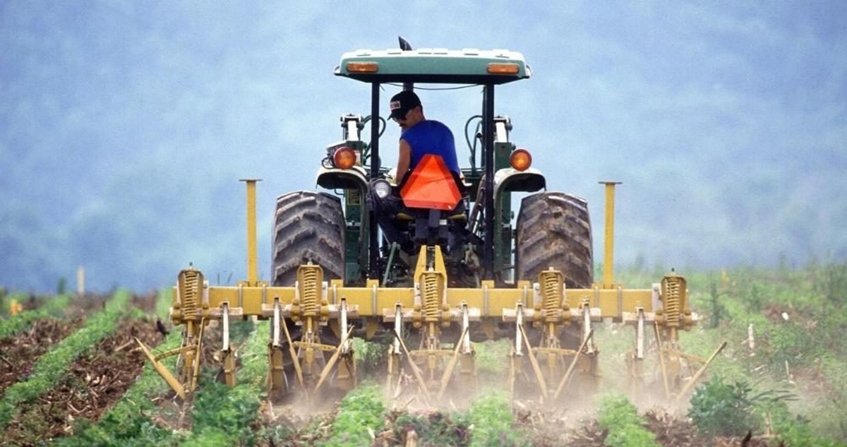 Agro paulista soma US$ 21,15 bi em exportações, mantém superávit e redireciona vendas após tarifaço dos EUA, com açúcar e suco na liderança