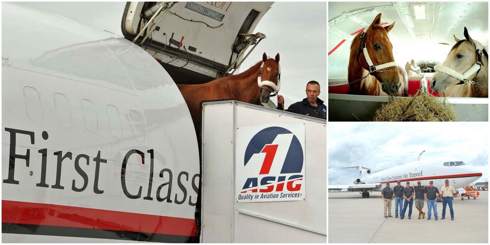 Boeing 727 adaptado da Tex Sutton leva cavalos milionários em voos luxuosos, com estábulo climatizado e cuidados especiais para cada animal