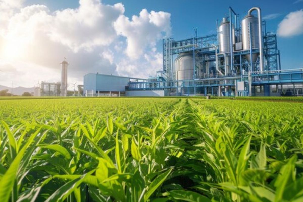 As biorrefinarias no Brasil estão emergindo como uma das principais soluções para impulsionar a transição energética em setores considerados de difícil descarbonização, como o aéreo e o marítimo