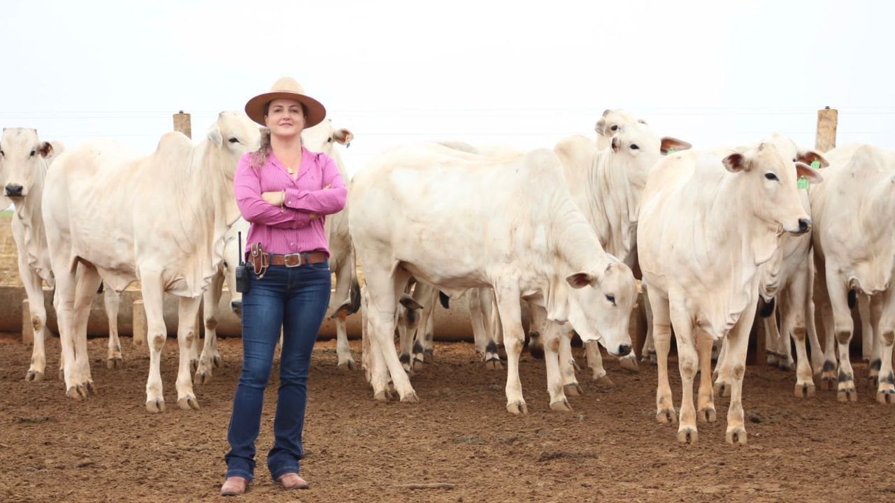 La “dama del agro” reveló su trayectoria en el agronegocio al transformar 35 bueyes en una manada. Descubre cómo lo hizo, dónde y por qué, con estrategia y visión.