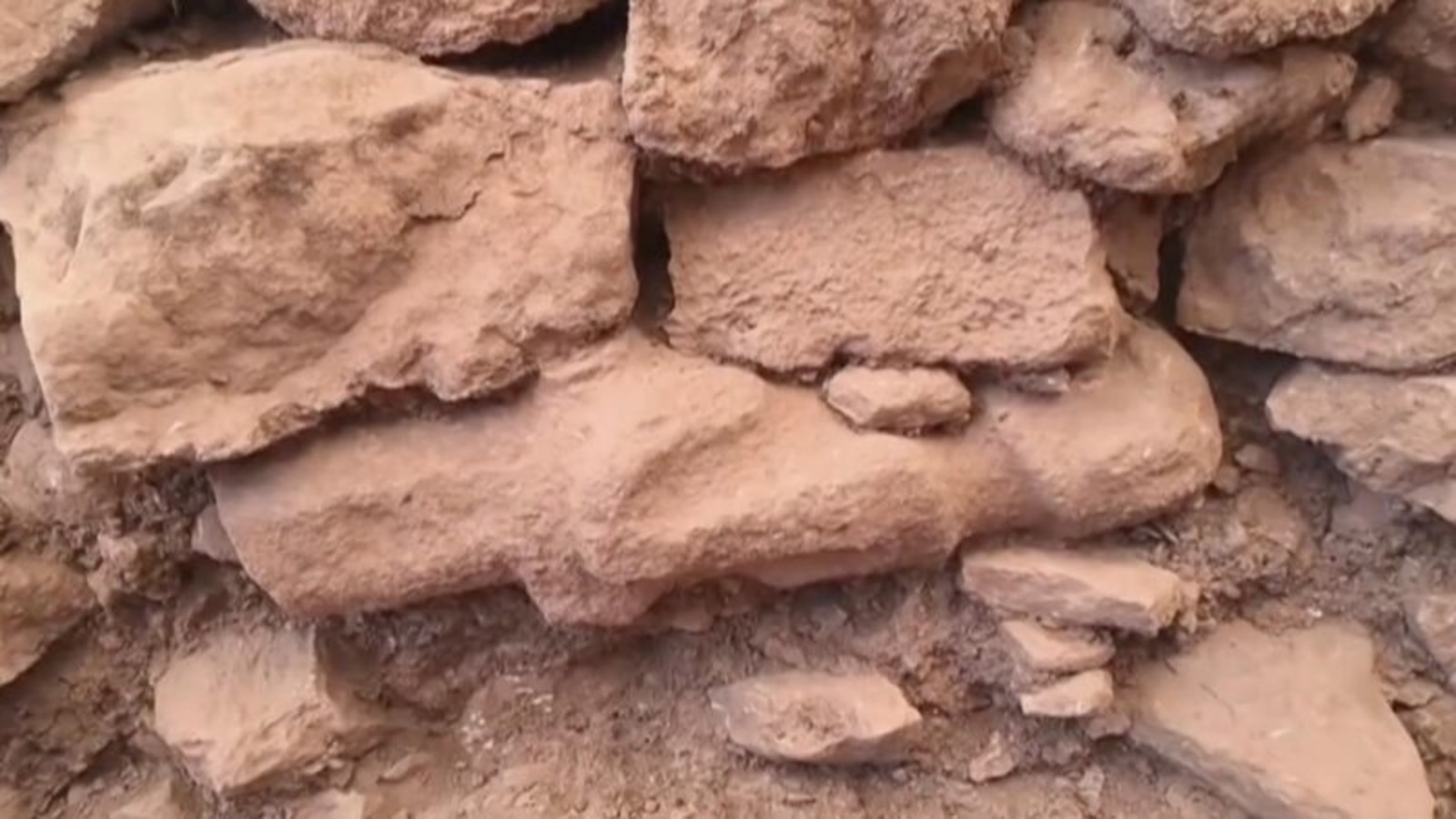 Estátua humana, Estárua