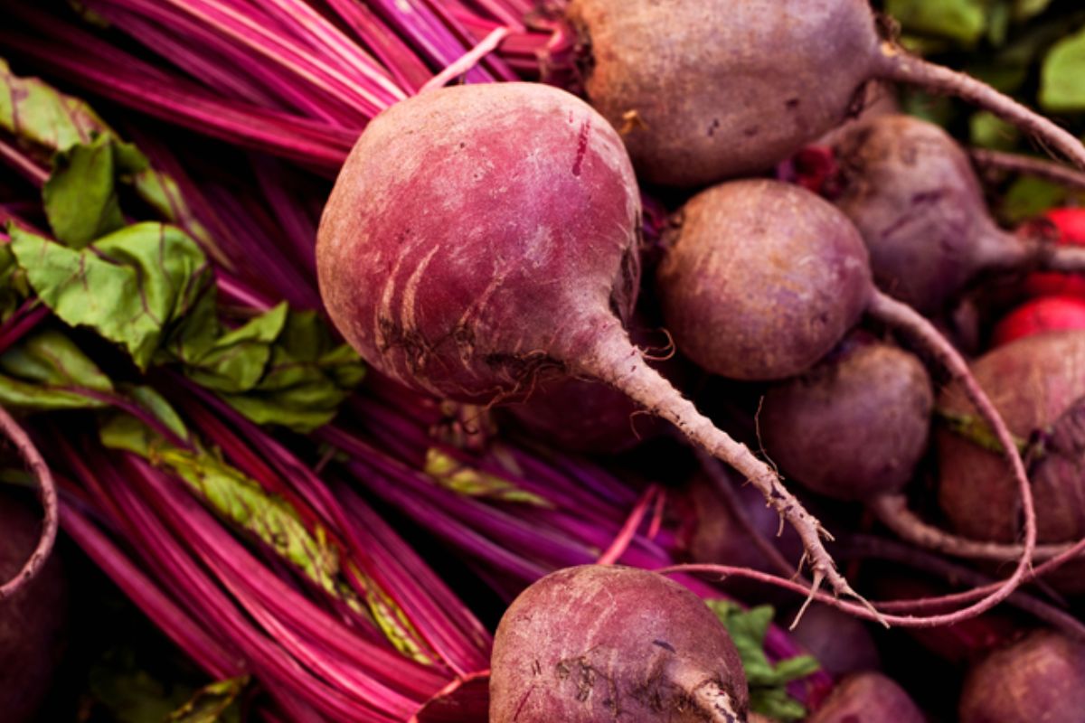 A recente exportação de beterraba do Brasil para a Nicarágua marca mais um passo importante na consolidação do agronegócio nacional no cenário internacional