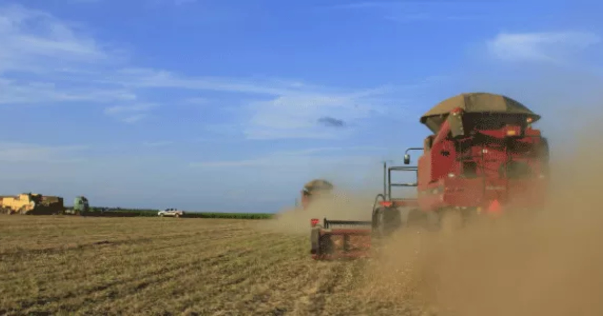 Especialistas na USP apontam avanço do capital estrangeiro sobre terras brasileiras via fundos e empresas, e cobram transparência e Incra forte.
