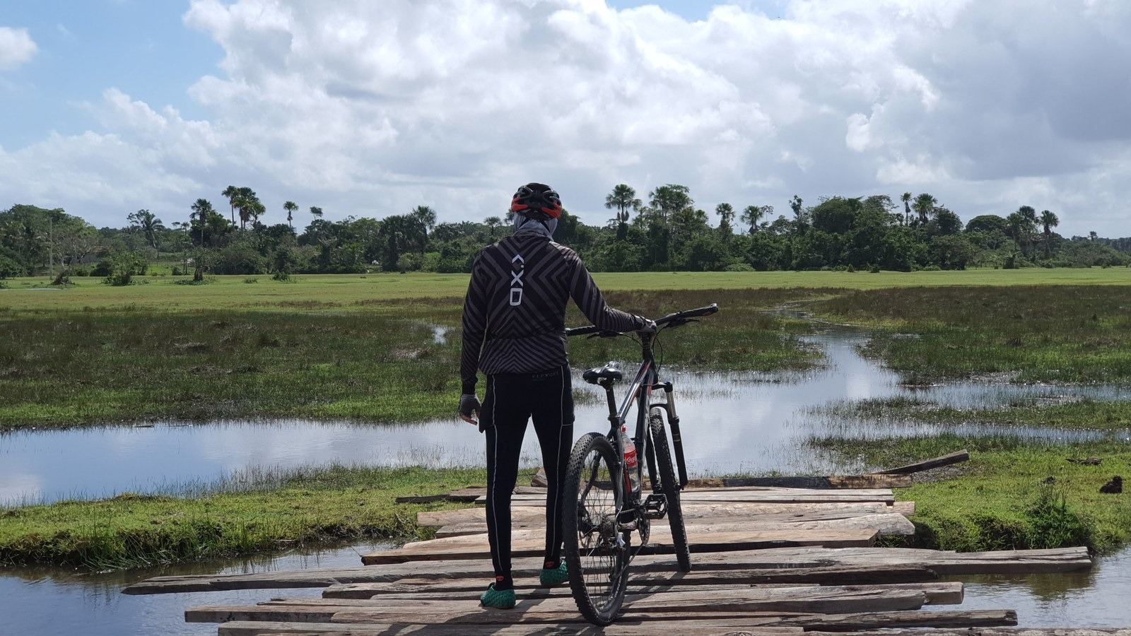 Trilha Amazônia Atlântica, Amazonas, Trilha, COP30