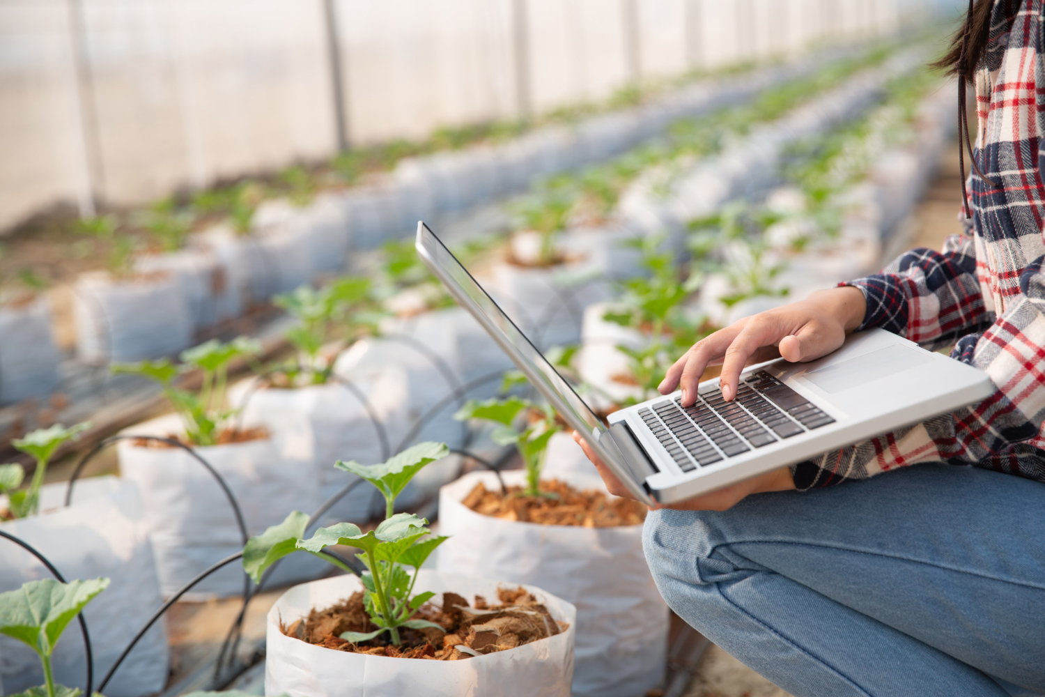 O Radar Agtech Brasil inicia em outubro o cadastramento para startups, investidores e ambientes de inovação. A iniciativa gratuita fortalece o ecossistema agroalimentar, amplia conexões e traz oportunidades exclusivas