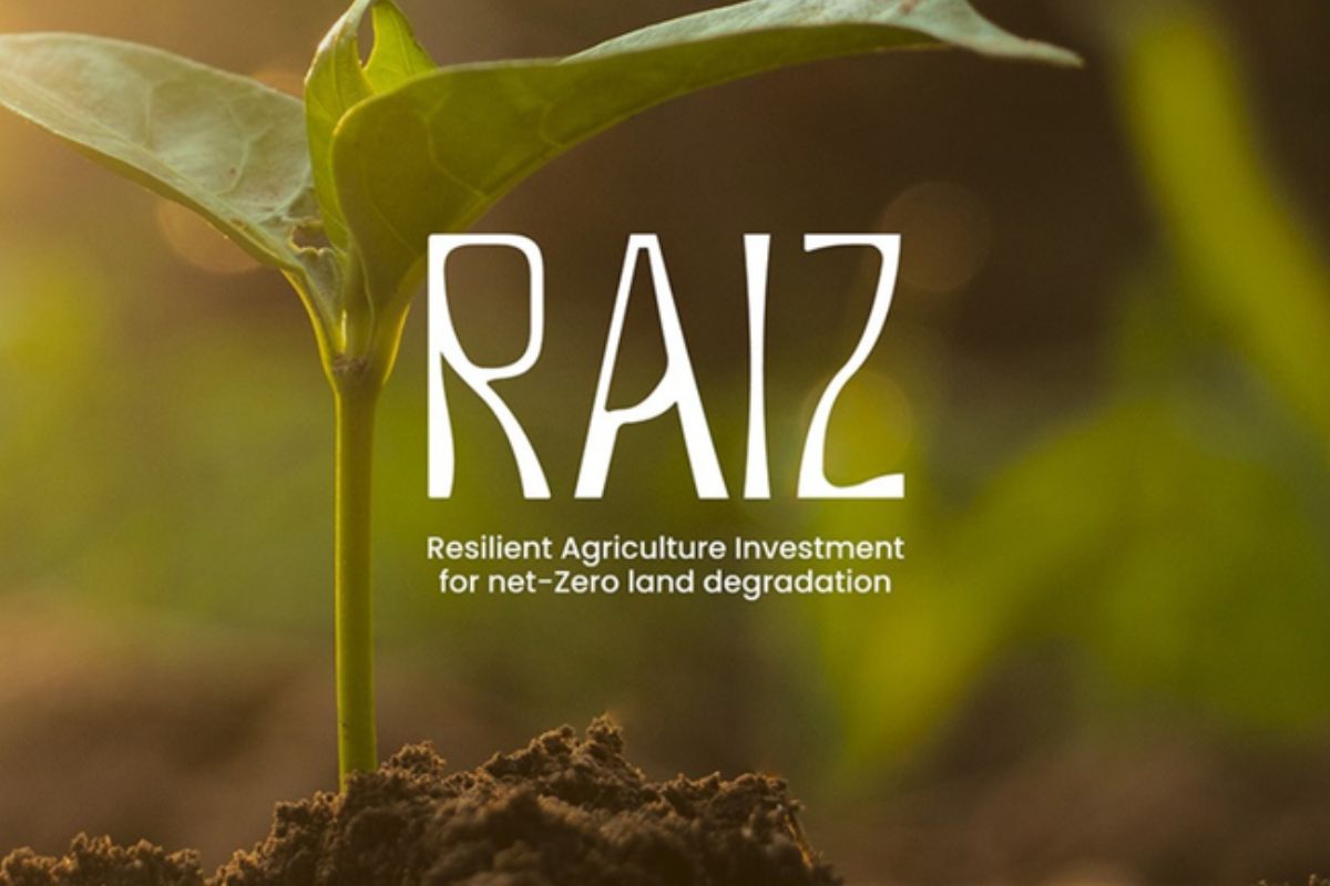 A recuperação de áreas degradadas ganha destaque mundial com o lançamento da iniciativa RAIZ (Resilient Agriculture Investment for Net Zero Land Degradation), que será apresentada pelo Brasil durante a 30ª Conferência das Nações Unidas sobre Mudança do Clima (COP 30), em Belém (PA)